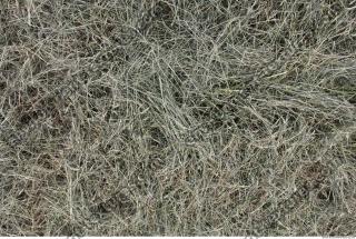 Photo of Various Textures